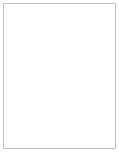 8 x 10 3/8 Rectangle Fluorescent ORANGE Label Sheet (Bulk Pack 500 Sheets)