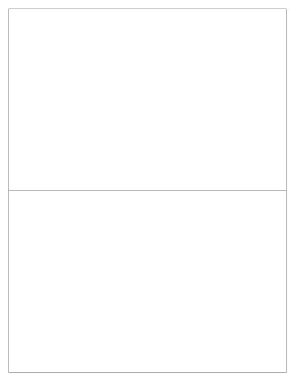 8 x 5 1/4 Rectangle Fluorescent ORANGE Label Sheet (Bulk Pack 500 Sheets)