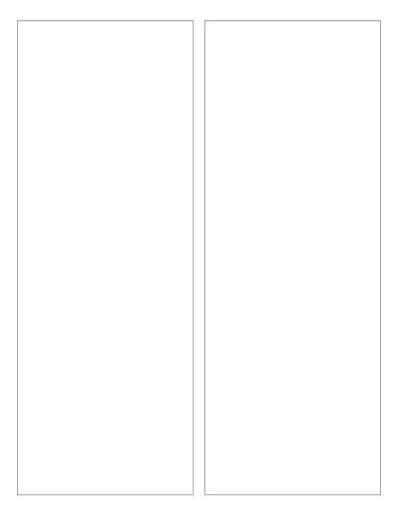 3 3/4 x 10 1/8 Rectangle Fluorescent PINK Label Sheet (Bulk Pack 500 Sheets)