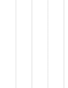 2 x 11 Rectangle Fluorescent PINK Label Sheet (Bulk Pack 500 Sheets)